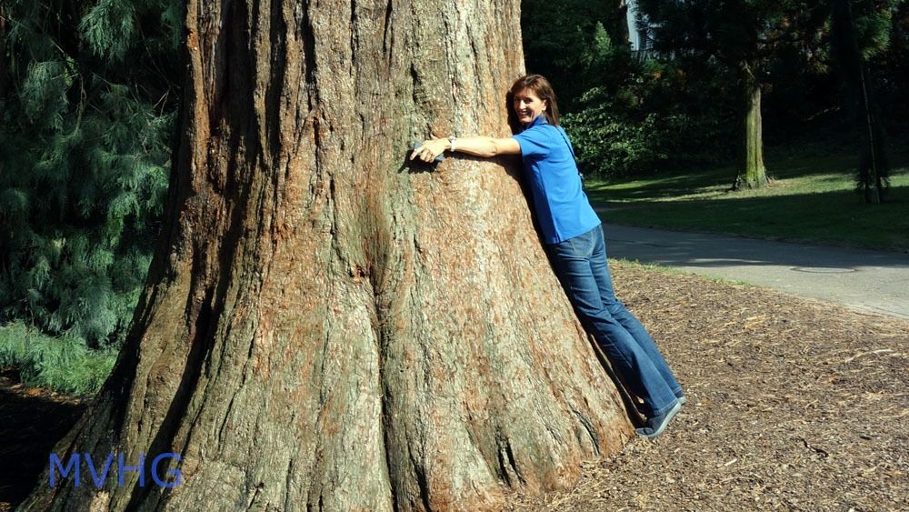 2015 09 12 musikreise