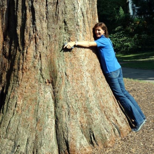 2015 09 12 musikreise