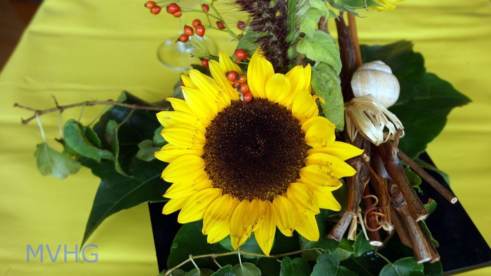 2015 09 12 musikreise