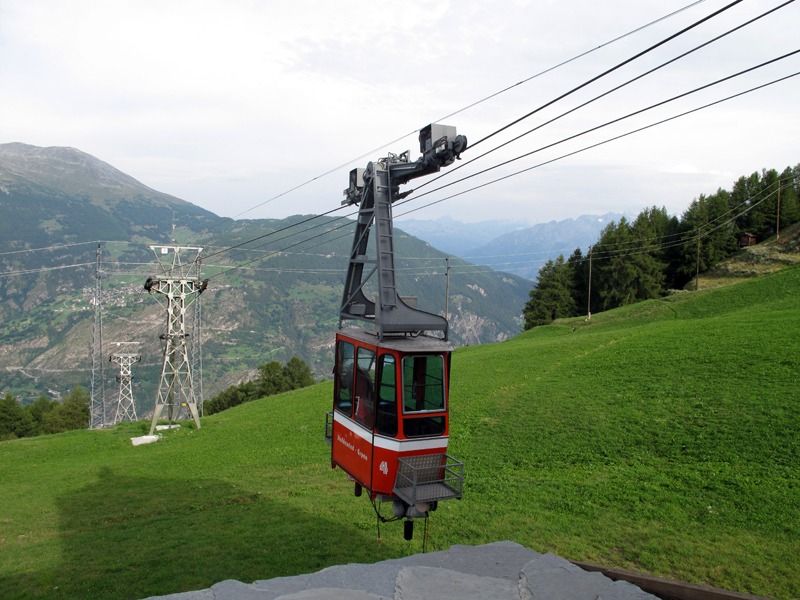 001 weissmies